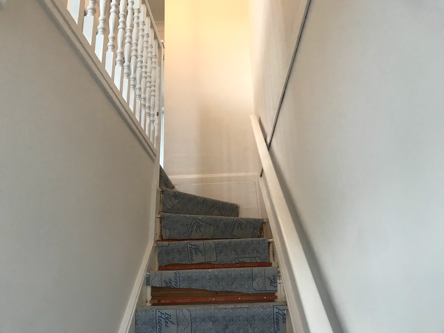 CASA Painting and Decorating — Photos 9